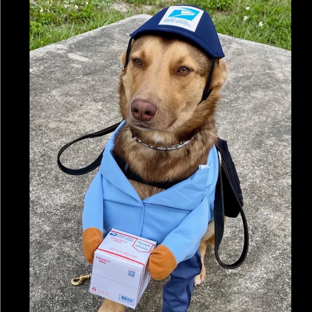 EXTRA SHIPPING LABEL
